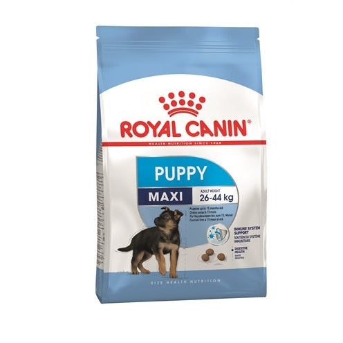 Royal Canin Königlicher Canin-Maxi-Welpe