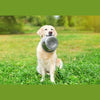 Happy Pet Happy-Cap-Edelstahl-Krippe