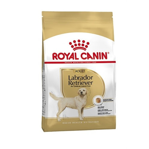 Royal Canin Königlicher Canin Labrador Retriever Erwachsen