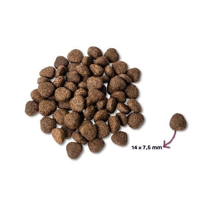 Renske Super Premium Adult Lachs Getreidefrei Hypoallergen