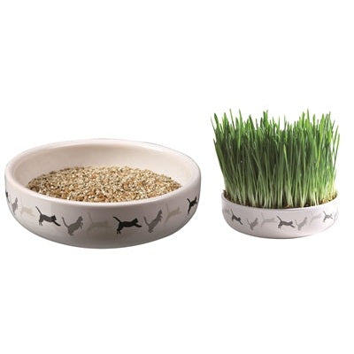 Trixie-Katzengrassamen 50Gr In Keramik