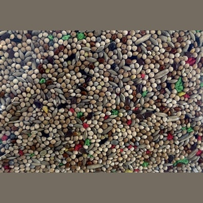 De Vries Gefrorenes Sittichfutter