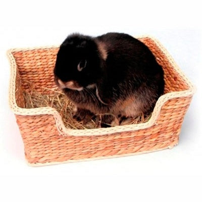 Rosewood Rosenholz-Chill 'N' Snooze-Nagerbett