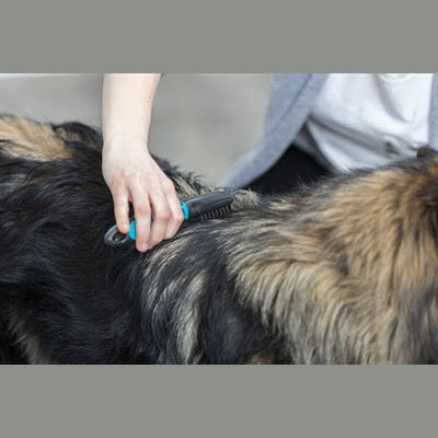 Trixie-Coat-Entfetter Gebogene Zähne