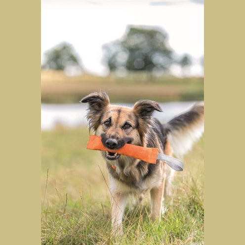 Trixie-Sport-Trainingspuppe Sortiert