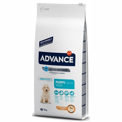 Advance Voraus Welpe Schützen Maxi