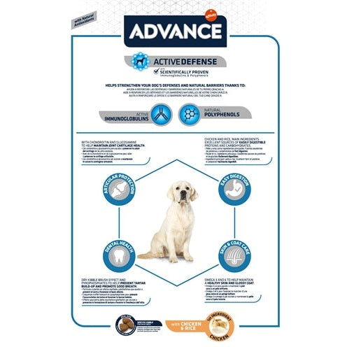 Advance Vorschuss Maxi Erwachsene