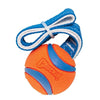 Chuckit Ultra Schlepper