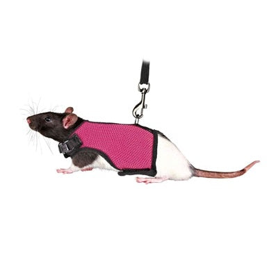 Trixie-Weichgeschirr Mit Gürtel Für Ratten Sortiert