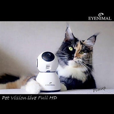 Eyenimal Pet Vision Live Hd Kamera Mit Geräuscherkennung