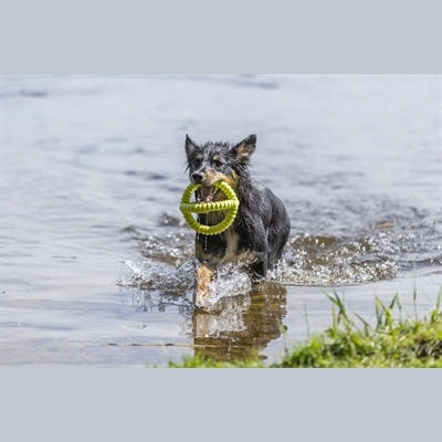 Trixie Aqua Toy Nachziehbares Spielzeug Tpr Limette