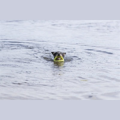 Trixie Aqua Toy Nachziehbares Spielzeug Tpr Limette