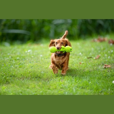Trixie Mit Ton Grün