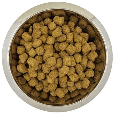 Yourdog König Pudel Senior