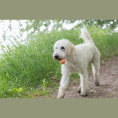 Trixie Be Eco Ball Floating Tpe Assorti