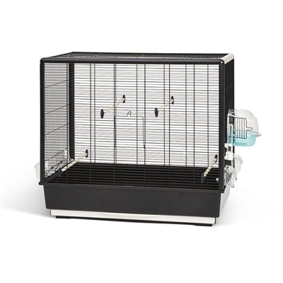 Savic Primo 60 Knock Down Schwarz