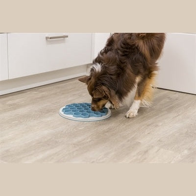 Trixie Slowfeeding Platehive Kunststoff / Tpr / Tpe Grau / Blau