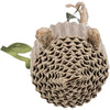 Trixie Karton / Hanf Beige