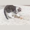 Trixie Halfter Karton / Hanf Beige