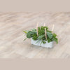 Trixie Keramik/Holz Grau