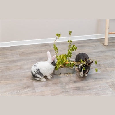 Trixie Keramik/Holz Grau
