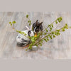 Trixie Keramik/Holz Grau