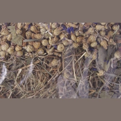 Excellent Kornblume Und Birkenblatt