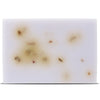 Beloved Calm Pet Shampoo Bar