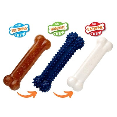 Nylabone Welpe Kauen Welpen-Starter-Kit Huhn