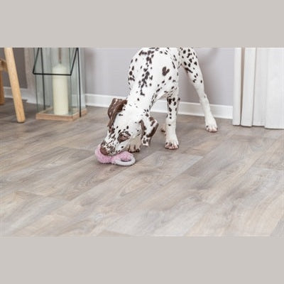 Trixie Plüsch Hase Mit Tpr Ring Für Welpe