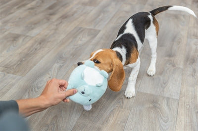 Trixie Plüschbär Mintgrün Für Welpe