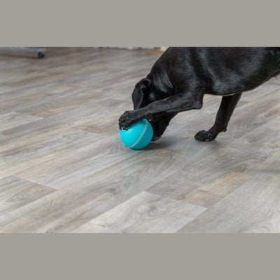 Trixie Snack Ball Hund Kunststoff / Tpr Blau