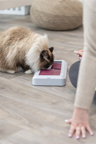 Trixie Stabbrett Für Katzen Kunststoff