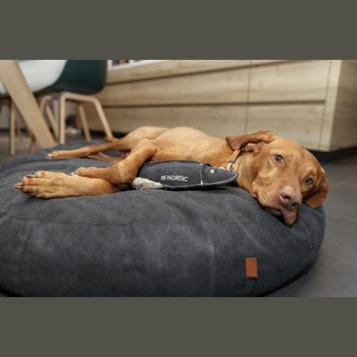 Trixie Be Nordic Hund Spielzeug Scholle Hajo Stoff / Plüsch