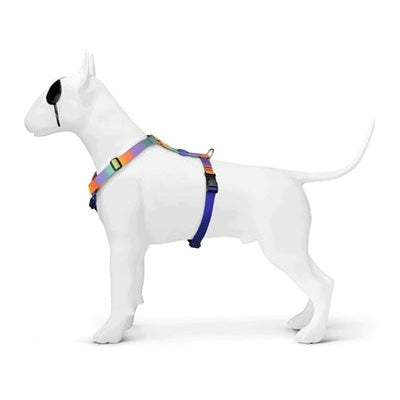 Morso Hundegeschirr H-Leine Recycelt Frühlingsblüte