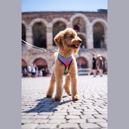 Morso Hundegeschirr Körper Mesh Recycelt Frühlingsblüte