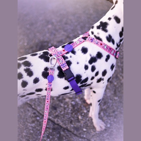 Morso Hundegeschirr Leine Recycelt Süss Tweet Rosa