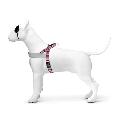 Morso Norwegisches Hundegeschirr Recycelt Skyline Rot/Rosa