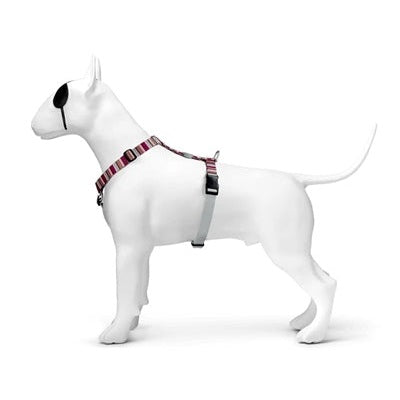 Morso Hundegeschirr H-Leine Recycelt Skyline Rot/Rosa
