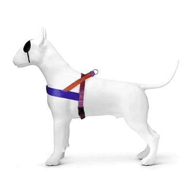 Morso Norwegisches Hundegeschirr Recycelt Urban Lizard Rot