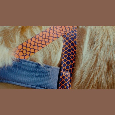 Morso Norwegisches Hundegeschirr Recycelt Urban Lizard Rot