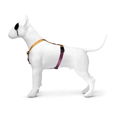 Morso Hundegeschirr H-Rig Recycelt Dschungel Trommel Orange