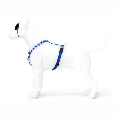 Morso Hundegeschirr H-Rig Recycelt Splash Blau