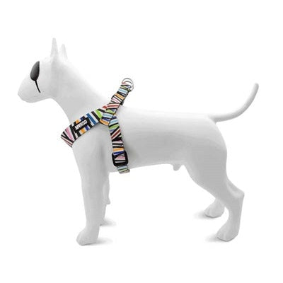 Morso Mini-Hundegeschirr Einstellbar Recycelt Spaghetti Vorfall