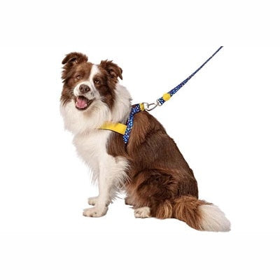 Morso Norwegisches Hundegeschirr Recycelte Farbe Invasoren Lila