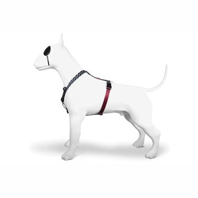 Morso Hundegeschirr H-Leine Recycelt Power Flow Schwarz