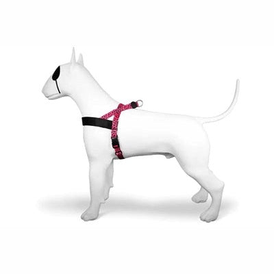 Morso Norwegisches Hundegeschirr Recycelte Blase Leo Rosa