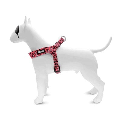 Morso Mini-Hundegeschirr Einstellbar Recycelt Blase Leo Rosa