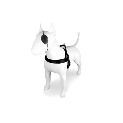 Morso Norwegisches Hundegeschirr Recyceltes Gold Kaviar Gold