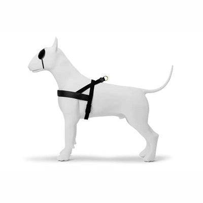 Morso Norwegisches Hundegeschirr Recyceltes Gold Kaviar Gold